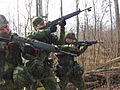 Swedish Soldiers Aiming