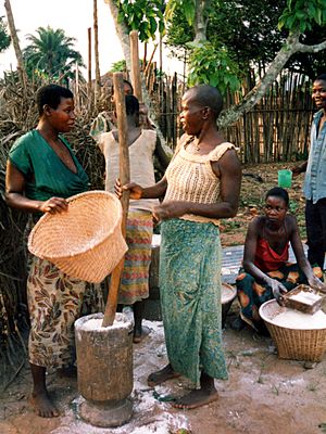 Making fufu Democratic Republic Congo