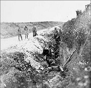 Newfoundland soldiers 1916