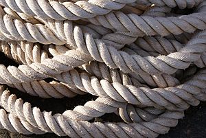 Rope in Dunbar Harbour