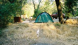 Shasta Lake Campground