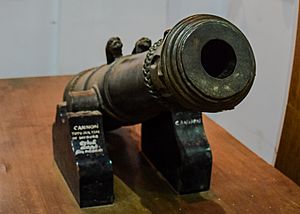 Tipu Sultan's cannon