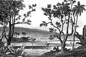 Waiakea Mission 1825