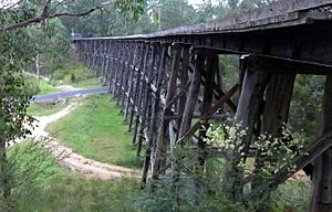 Wairewa trestle bridge 3 Stevage