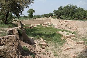 Archaeological Site of Harappa by smn121 -22