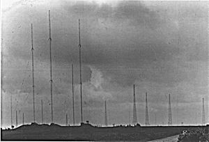 Aspidistra masts
