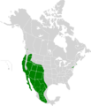Carpodacus mexicanus map history1
