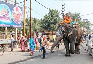 Elephant in Ujjain