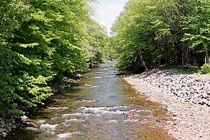 Fishing Creek in Sugarloaf Township, Columbia County, Pennsylvania