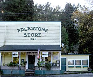 The Freestone general store as of 2007.