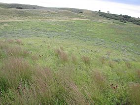 Landscape Sullys Hill National Game Preserve Fort Totten, North Dakota (5789616425).jpg