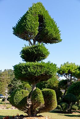 Pearl Fryar Topiary Garden, Bishopville, SC, US (21)
