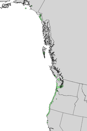 Salix hookeriana range map 3.png