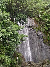 Yunque waterfall