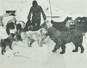 Cape-Adare-1899-Carsten-Borchgrevink-Camp-Ridley-Dogs