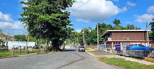 Carretera PR-6633, Ciales, Puerto Rico