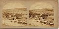 Frith, Francis (1822-1898) - Views in the Holy Land - n. 428 - Hebron. Northern Half of the City - recto