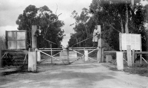 Gate in the Rabbit Fence at Stanthorpe, Christmas 1934f