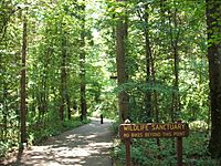 Entrance of the walking path at Huntley Meadows