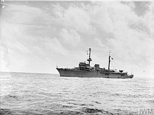 ITALIAN WARSHIP SURRENDERS AT COLOMBO. 14 SEPTEMBER 1943. THE ITALIAN COLONIAL SLOOP ERITREA A 2170 TONS, ESCORT VESSEL WITH A SPEED OF 20 KNOTS, ENTERED COLOMBO HARBOUR RECENTLY TO SURRENDER. A19586