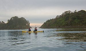 Marin Islands Kayakers