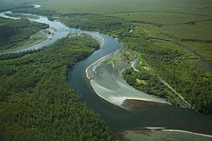 Meandering river aerial photography.jpg