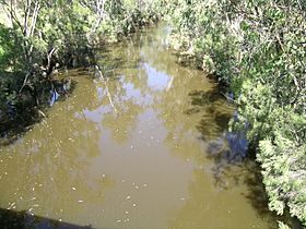 Nive River (QLD).jpg