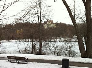 Overlooking Leverett Pond in Olmsted Park from the Brookline, MA side