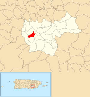 Location of Pedro Ávila within the municipality of Cayey shown in red