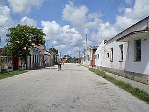 View of a central town's road