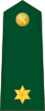 Spain-Civil Guard-OF-1a.svg