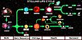 Star Life Cycle Chart