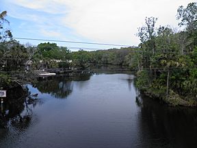 Tomoka River from State Road 40 March 2013.jpg