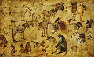 Jan Brueghel (I) - Studies of animals (donkeys, cats and monkeys