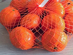 Mandarin oranges in mesh bag