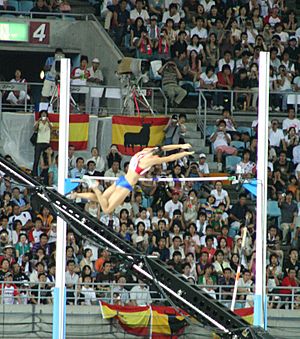 Osaka07 D4A Isinbayeva 4m80 jump