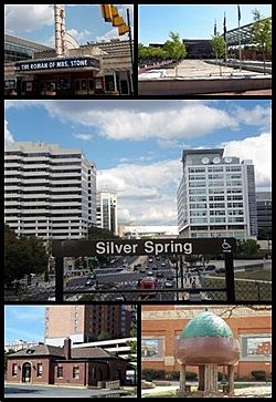 Clockwise from top: AFI Silver, Veteran's Plaza and the civic building, Downtown Silver Spring from the Metro station, Acorn Park, Baltimore and Ohio Railroad Station