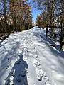 Snow-Covered Trail in Lower Gwynedd Township