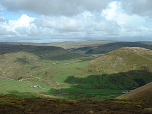 Whin Fell, Bowland - geograph.org.uk - 69050
