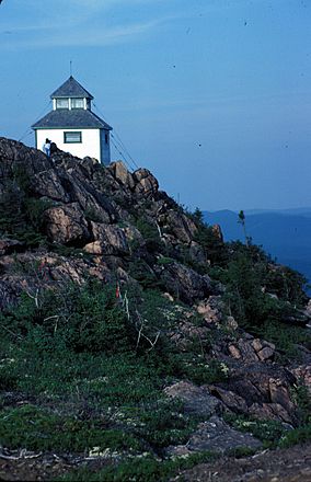 1993 Mount Carleton2.jpg