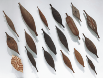 Australian Museum - Aboriginal Shields