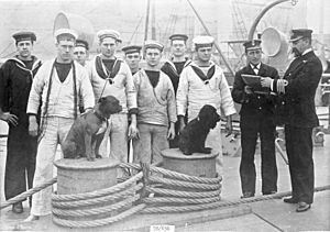 Crewmen of HMS Trafalgar with dogs Malta 1897 Flickr 4453913859 9c9f9dc111 b