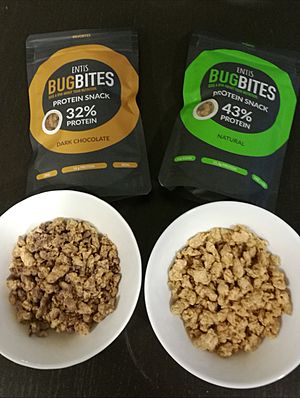 Entis BugBites oat snacks with cultivated cricket flour
