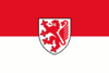 Flag of Braunschweig 