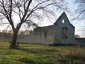 Godstow Abbey ruins - geograph.org.uk - 1779065