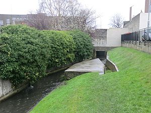 Poddle River at The Stone Boat, where the City Watercourse separates (geograph 3546604)