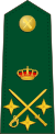Spain-Civil Guard-OF-8.svg