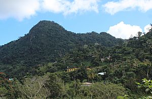 Mountain and homes in Borinquen