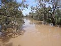 AU-NSW-Goodooga-Bohkara River-2021