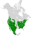 Carpodacus mexicanus map history4
